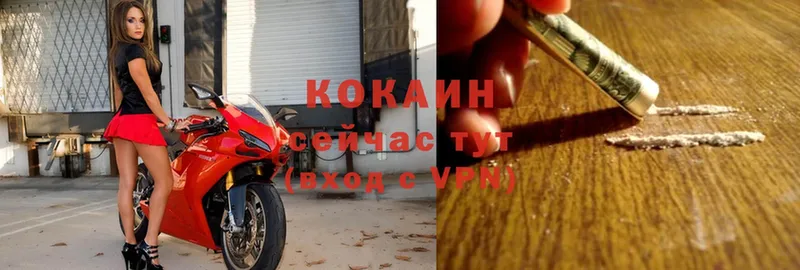 COCAIN Колумбийский  Лукоянов 